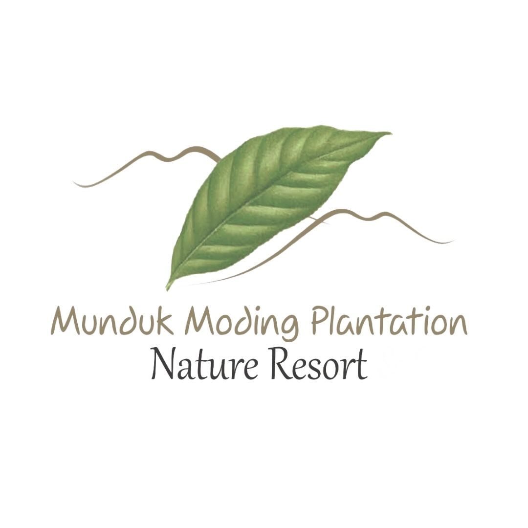 Munduk Moding Plantation, Bali